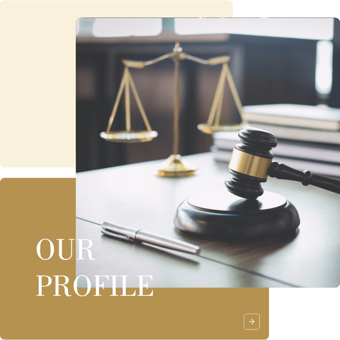 baja law office profile