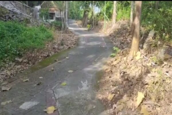 Bangunan Liar di Tanah Kosong