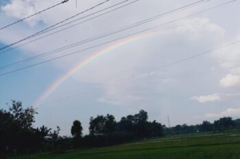Menilik Aturan Terkait LGBT dalam KUHP